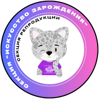 section-6-2025
